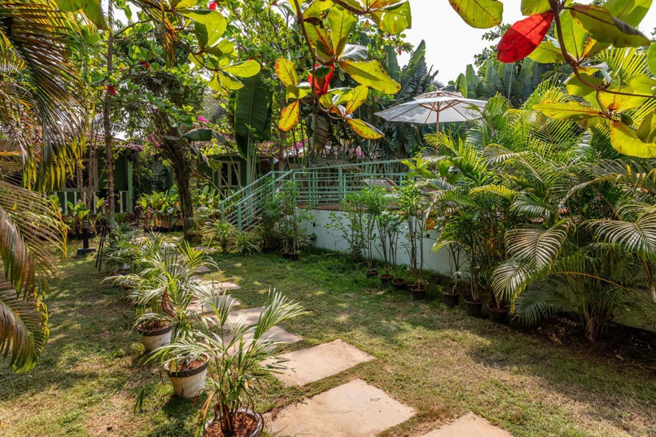 Resort Akasa Goa 3*